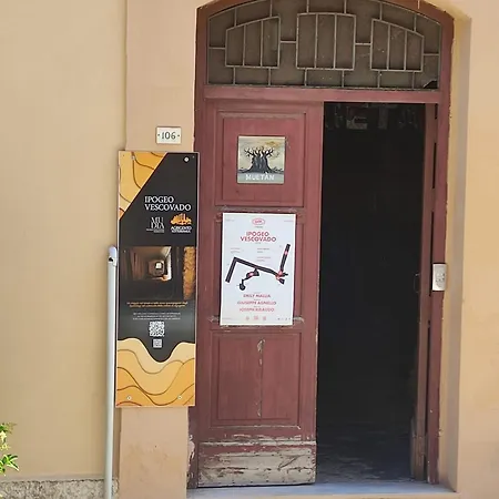 Magilu Casa *